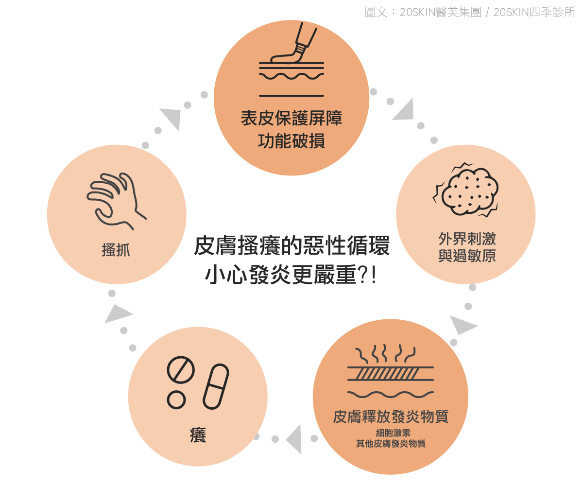 皮膚瘙癢的惡性循環