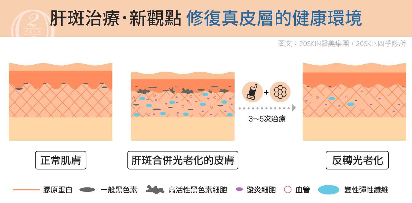 修復真皮健康環境
