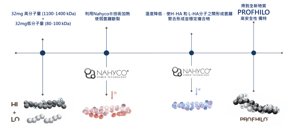 高低分子玻尿酸的協同複合體